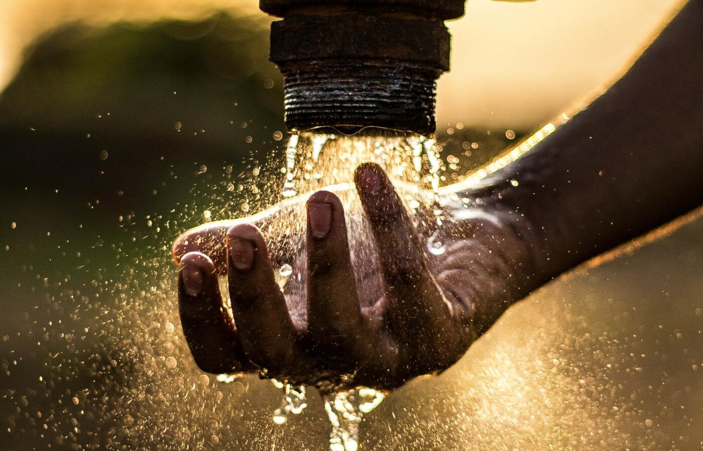 b5093d8b4c22d70055d6b4d43d4a720e2ddd394fbbc9b7dc27