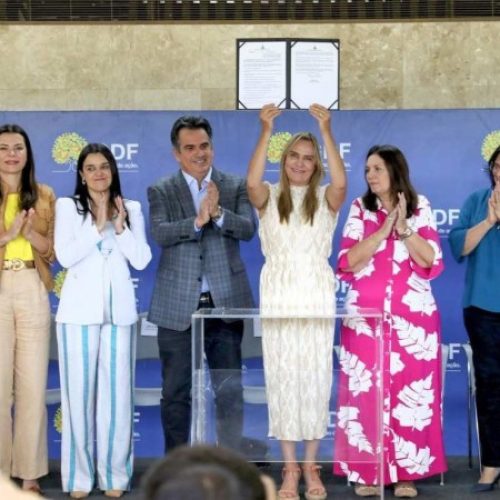 Avanços no Combate à Violência de Gênero e Promoção da Autonomia Feminina Marcam 2024 no DF.